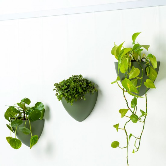 Artiteq 7600.120 Botaniq 1,25L green hanging plant pot for hanging plants on your wall from your picture hanging rail