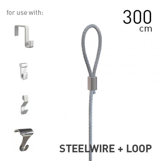 Artiteq Steelwire 2mm + Loop 300cm